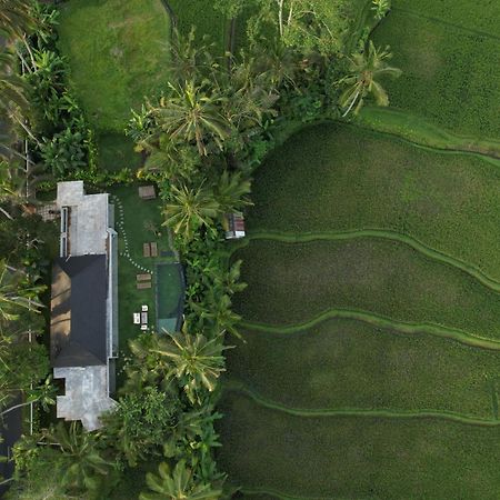 Hatiku Di Bali - Ubud Tegallalang  Ngoại thất bức ảnh