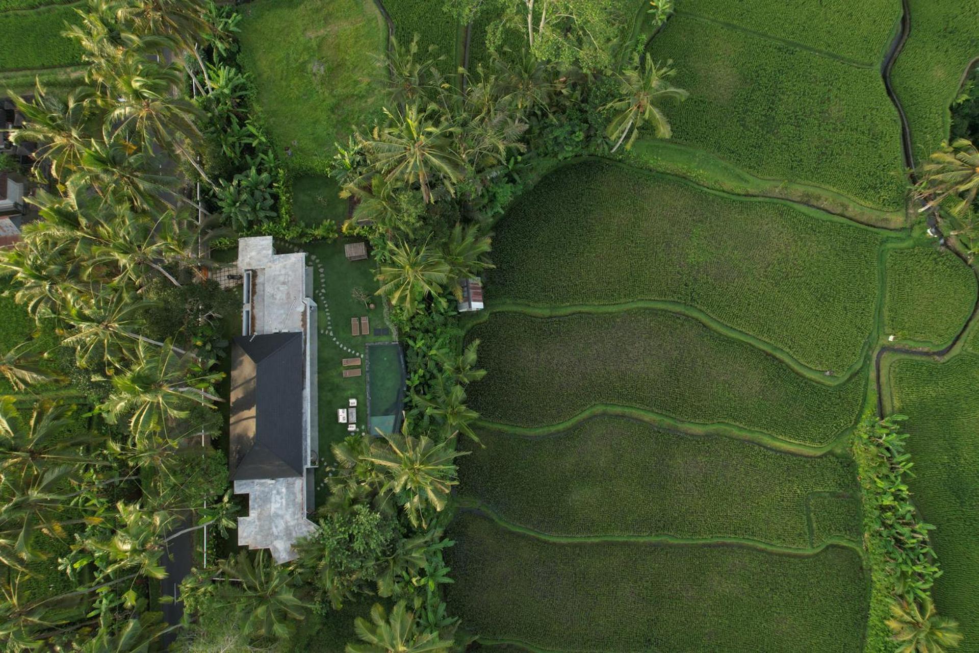 Hatiku Di Bali - Ubud Tegallalang  Ngoại thất bức ảnh